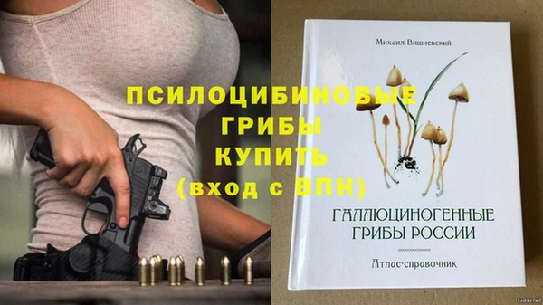 дмт Баксан